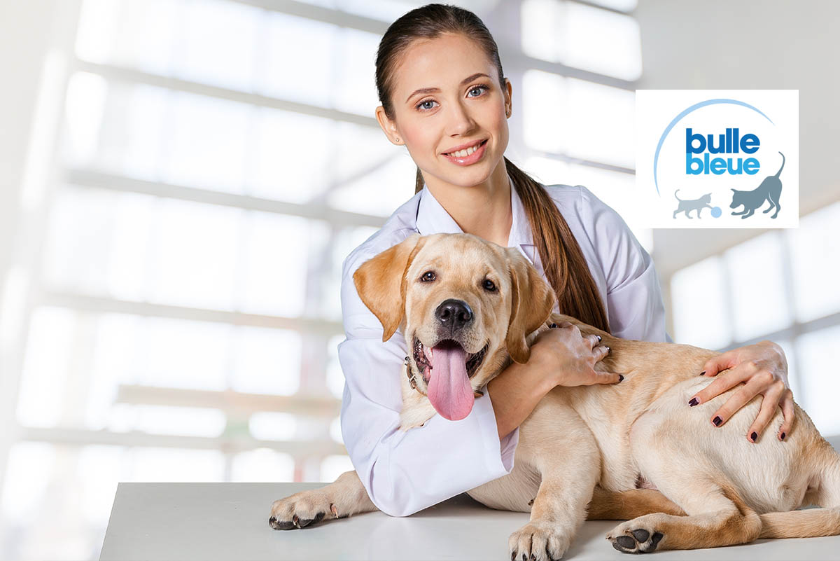 assurance animaux Bulle Bleue