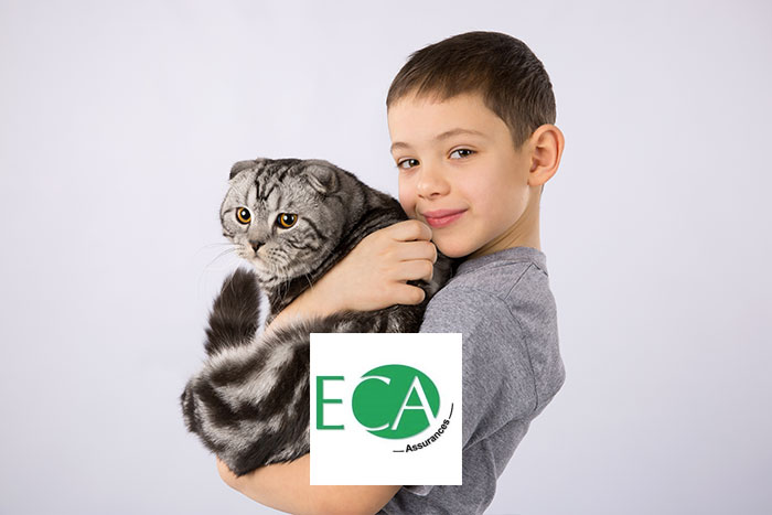 assurance animaux ECA